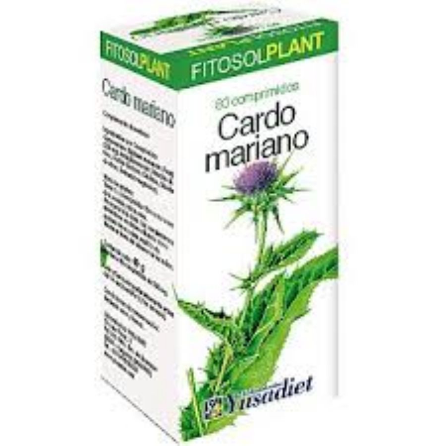 Cardo Mariano 80 Compr.